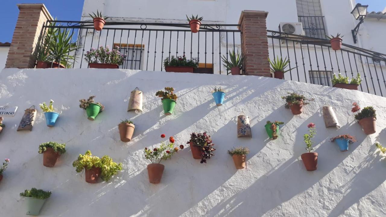 أولفيرا Casa De Esteban المظهر الخارجي الصورة
